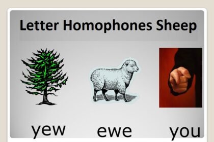 Letter Homophones Sheep