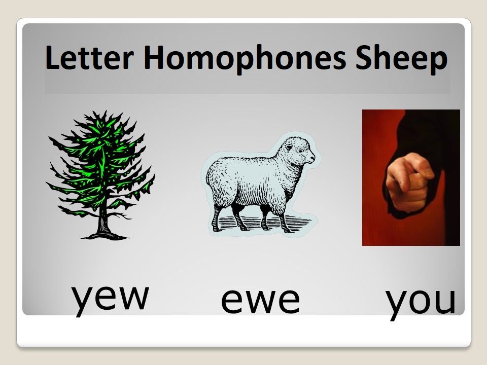 Letter Homophones Sheep